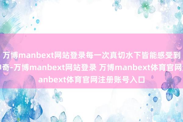 万博manbext网站登录每一次真切水下皆能感受到海西人命的神奇-万博manbext网站登录 万博manbext体育官网注册账号入口