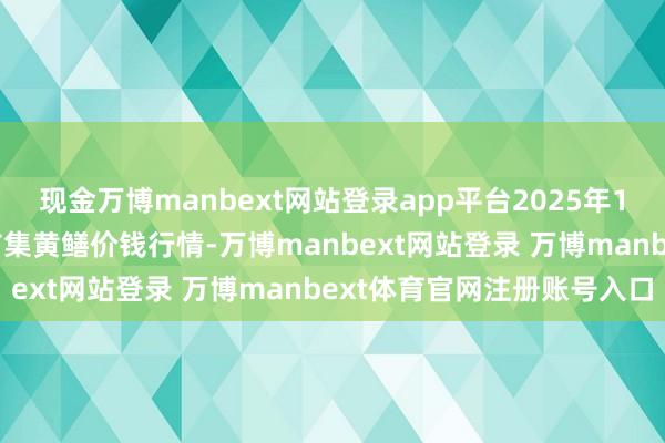 现金万博manbext网站登录app平台2025年12月25日寰宇主要批发市集黄鳝价钱行情-万博manbext网站登录 万博manbext体育官网注册账号入口